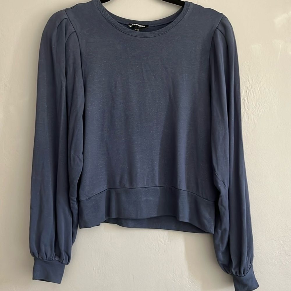 Express Puff Sleeve Shimmer Sweater Blue Small